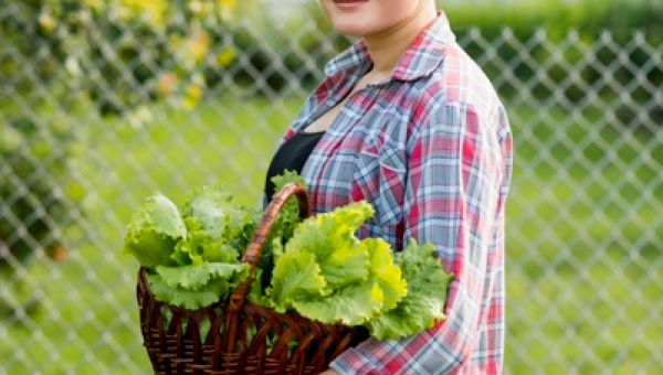 AGRICULTURA ORGÂNICA