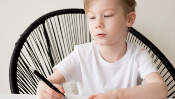 EDUCAÇÃO INFANTIL-  ANOS INICIAIS E PSICOPEDAGOGIA